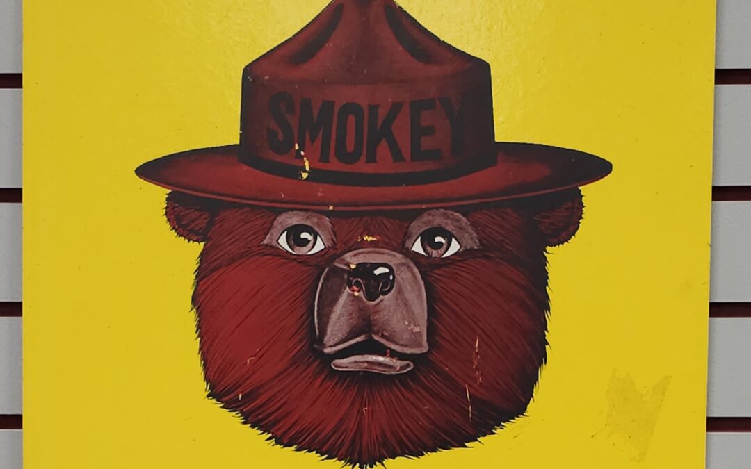 Smokey Bear “Prevent Forest Fire” Sign